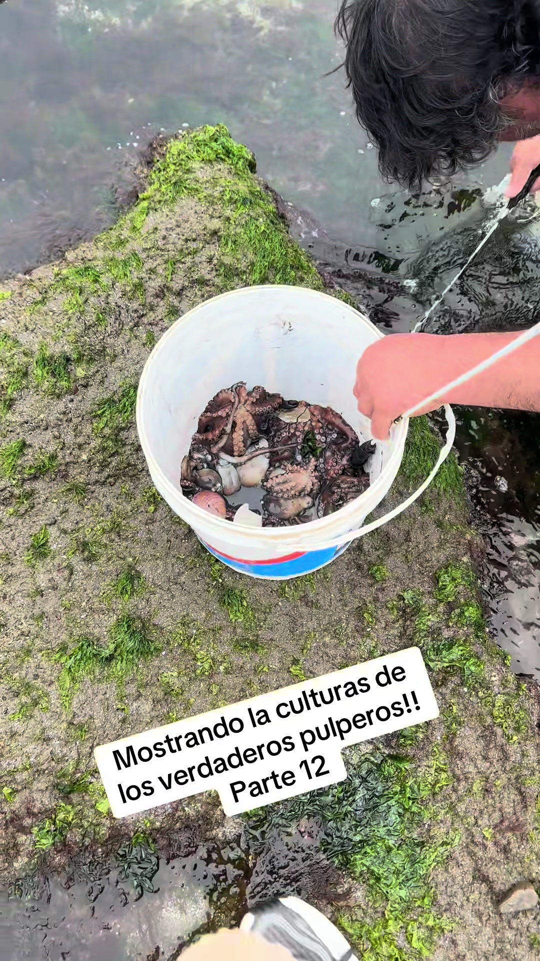@El flaco