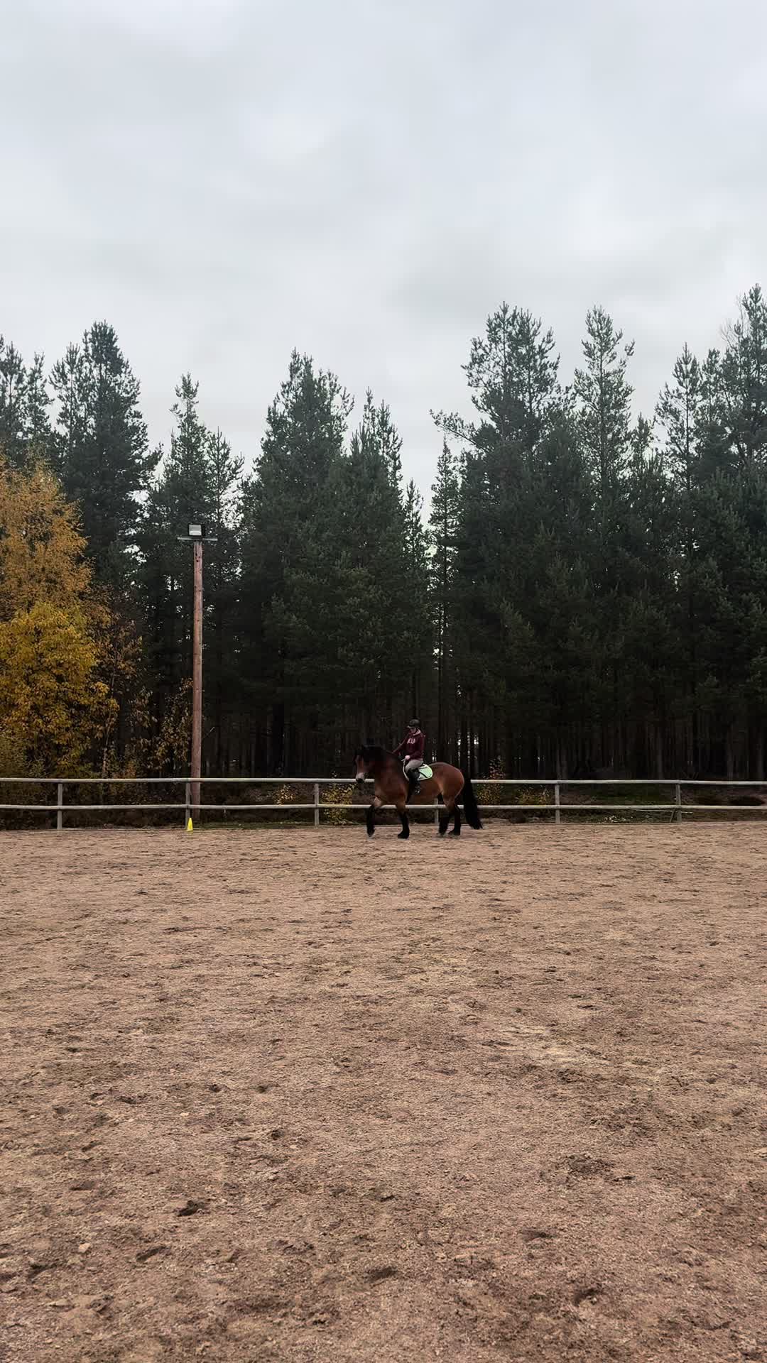 @Linn&eacute;a Palm✨🤍