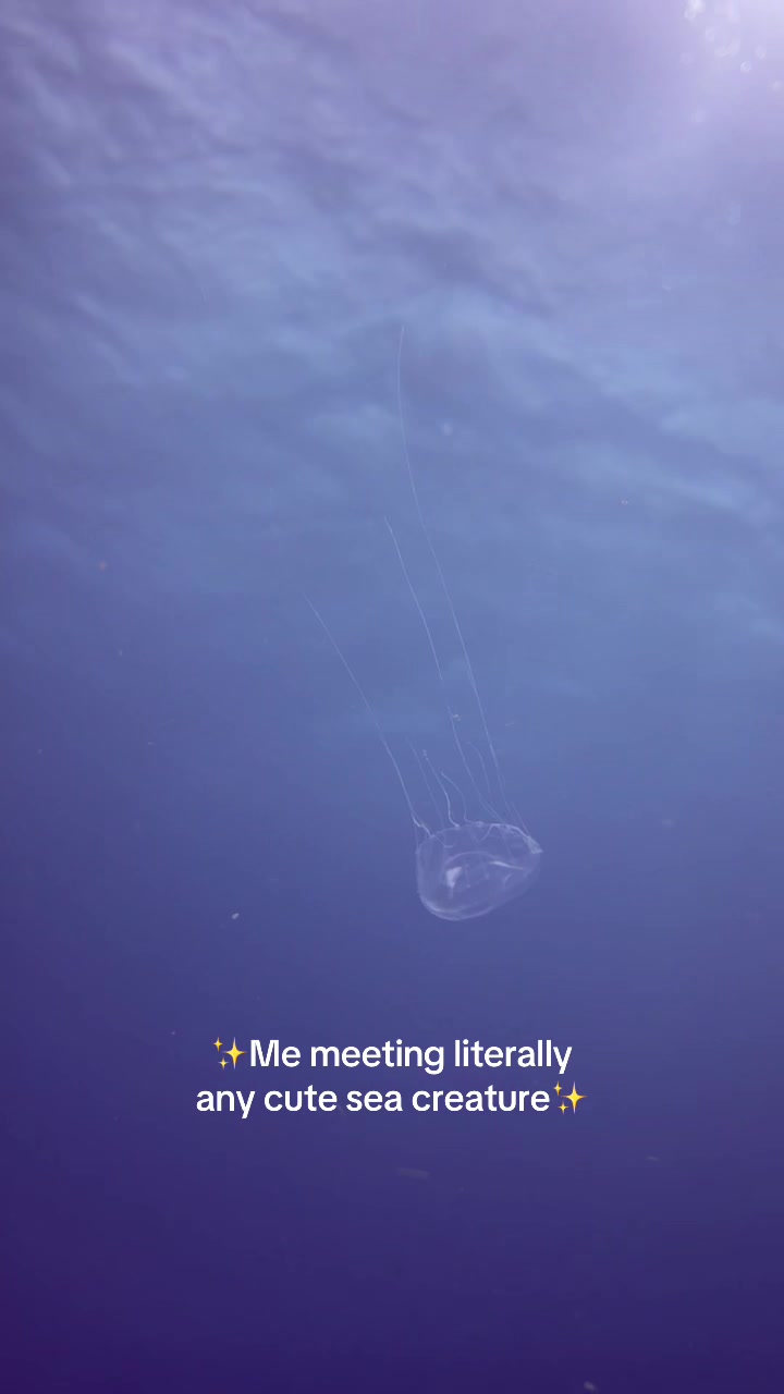 @Mermaid Chrissy