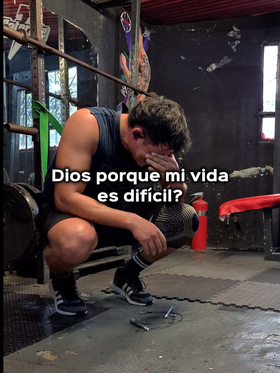 @Omar Vazz