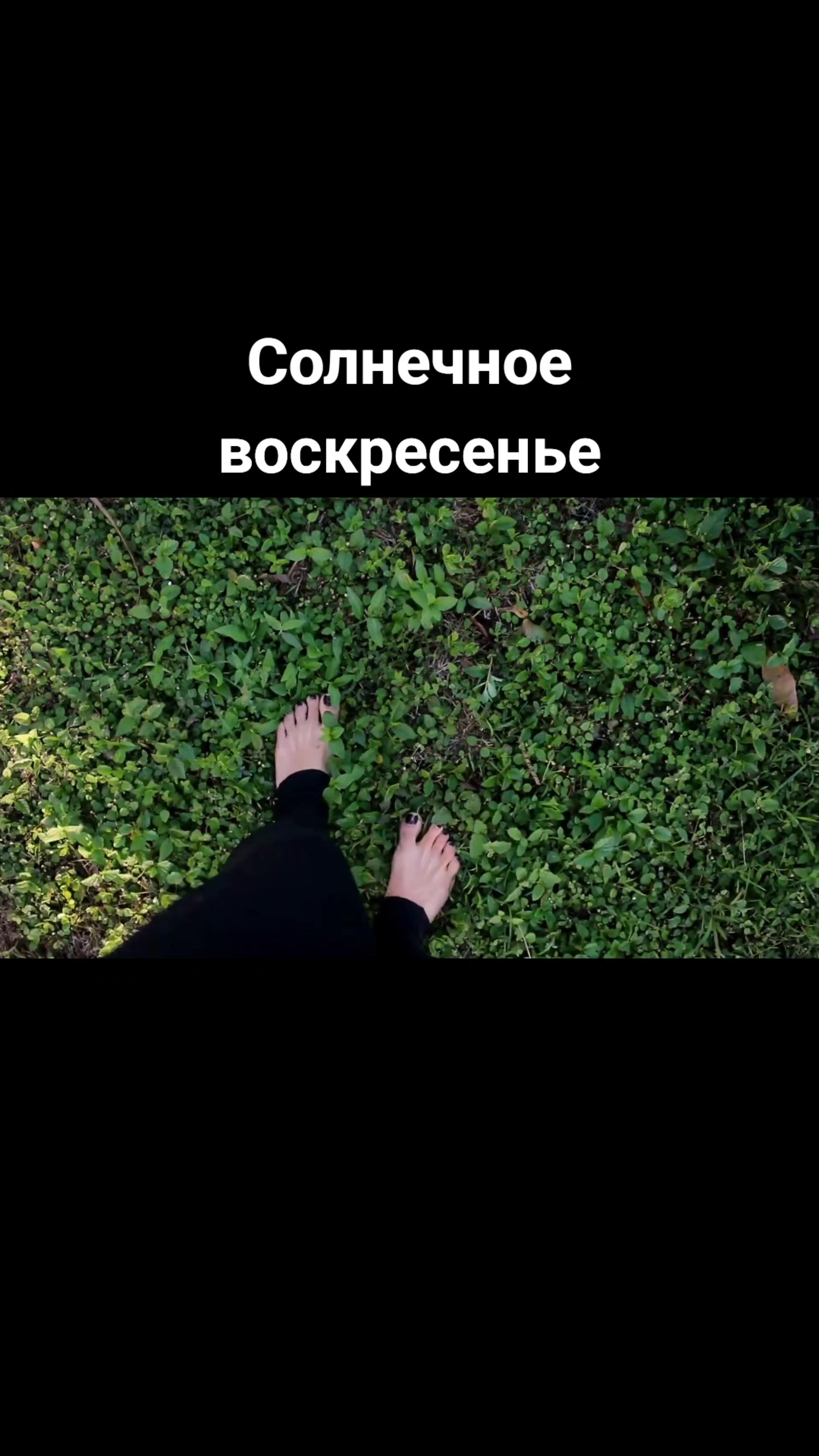 @moonwalkermusic