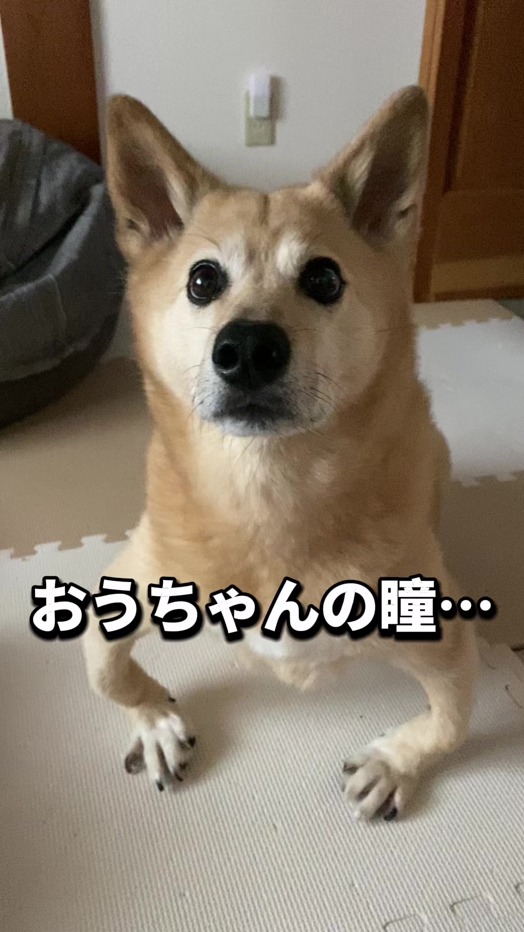 @てる