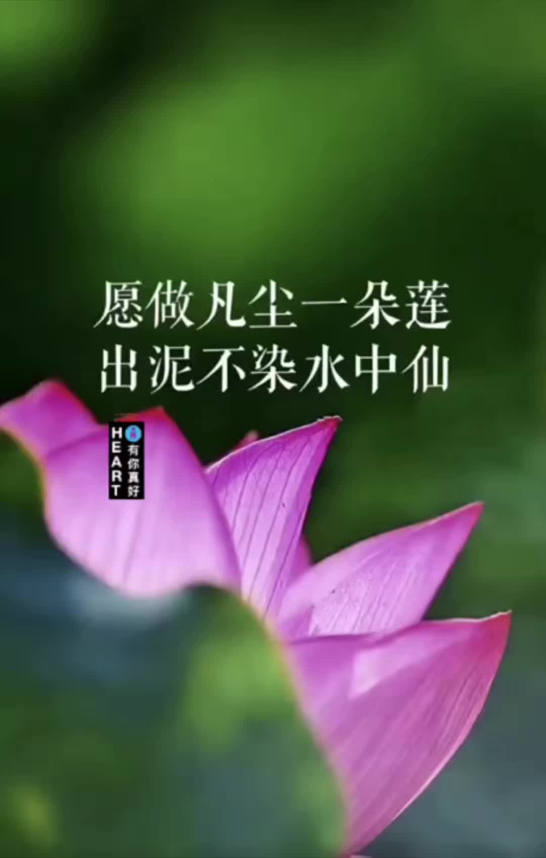 @HEART❤️有你真好 「承蒙厚愛 不勝感激」✨