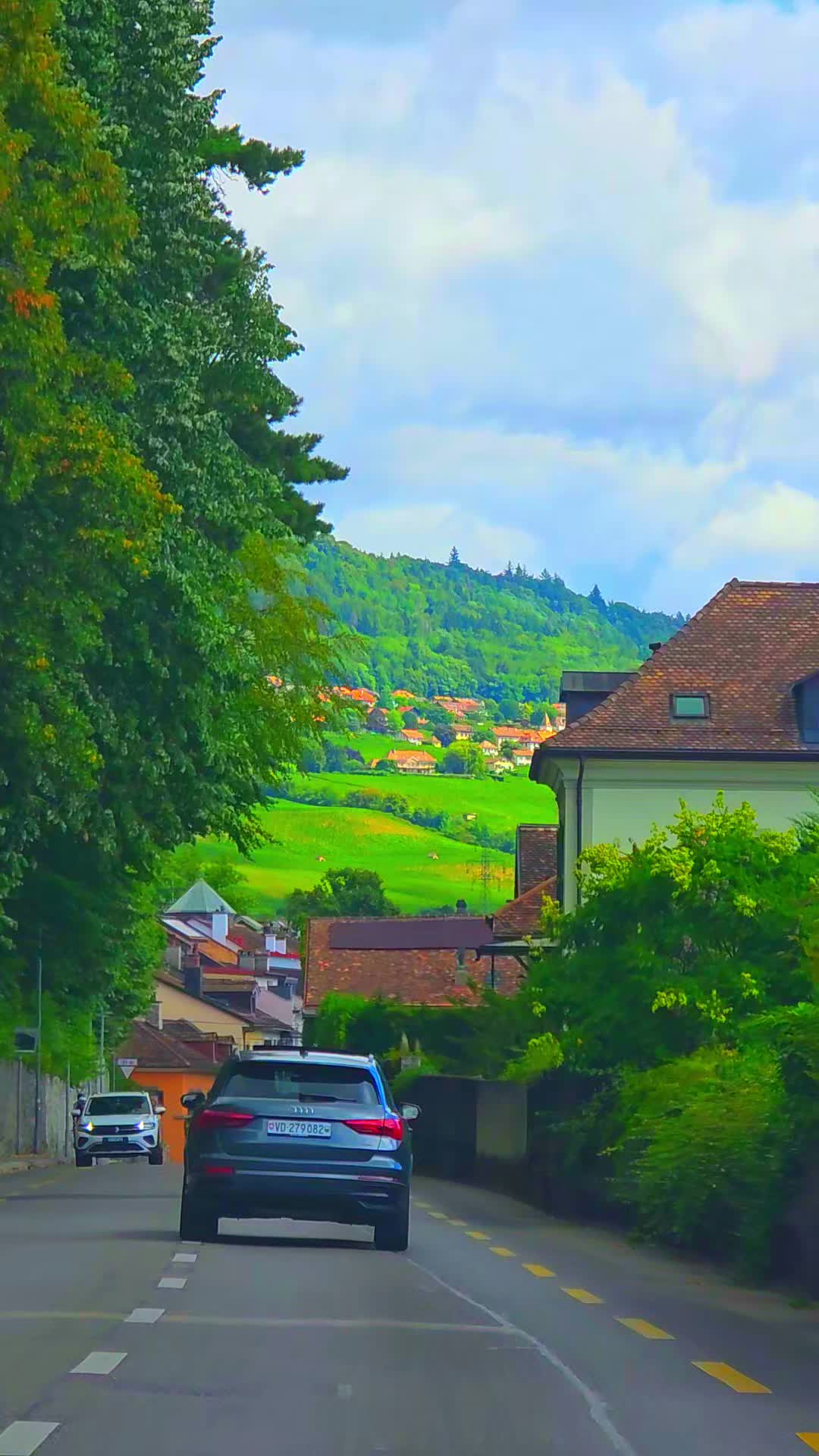 @🇨🇭flores Sérgio 🇵🇹