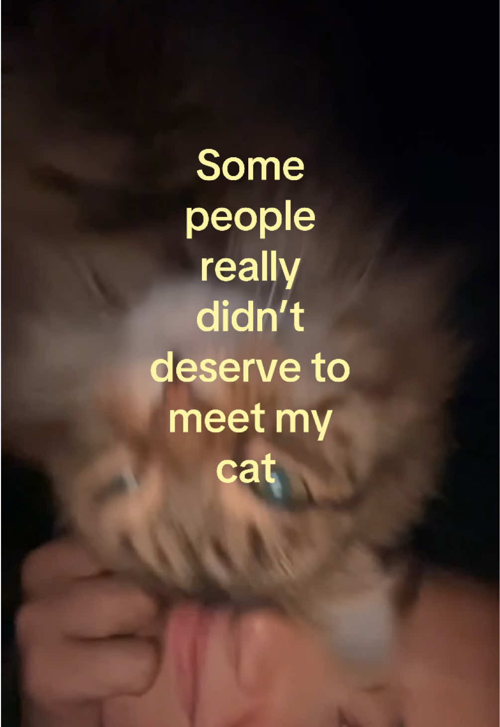 @daisyy
