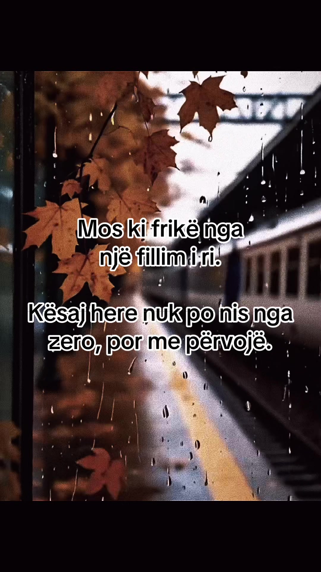 @Syri bukur
