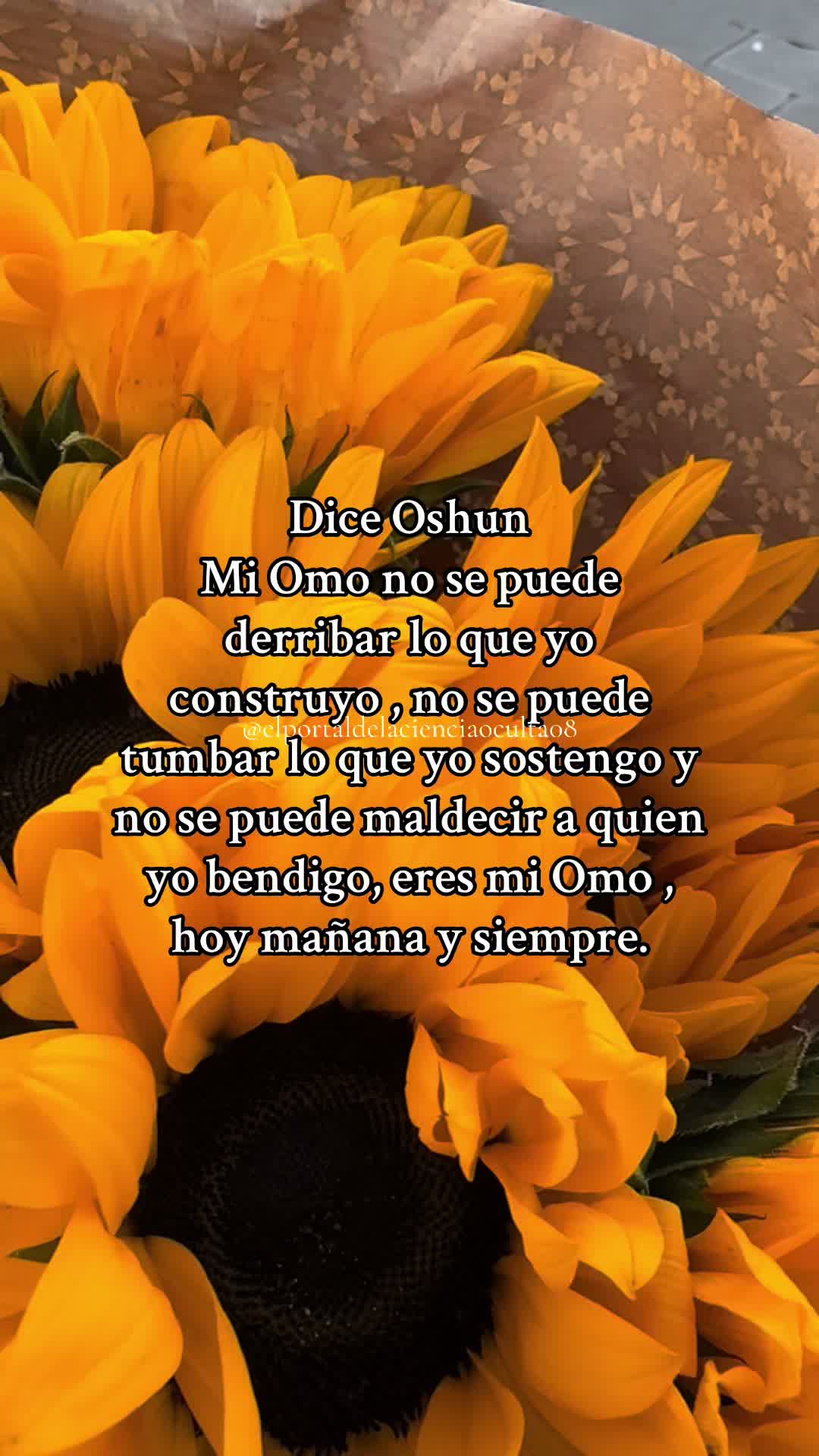 @👸🌻Oshun Canela & miel👑🍯