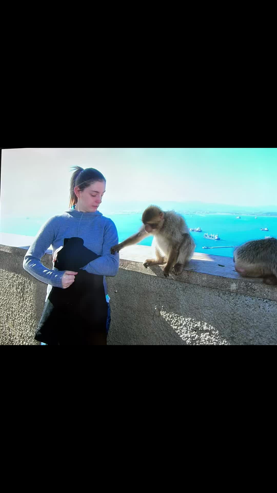 @Laura_Reeve_TBI