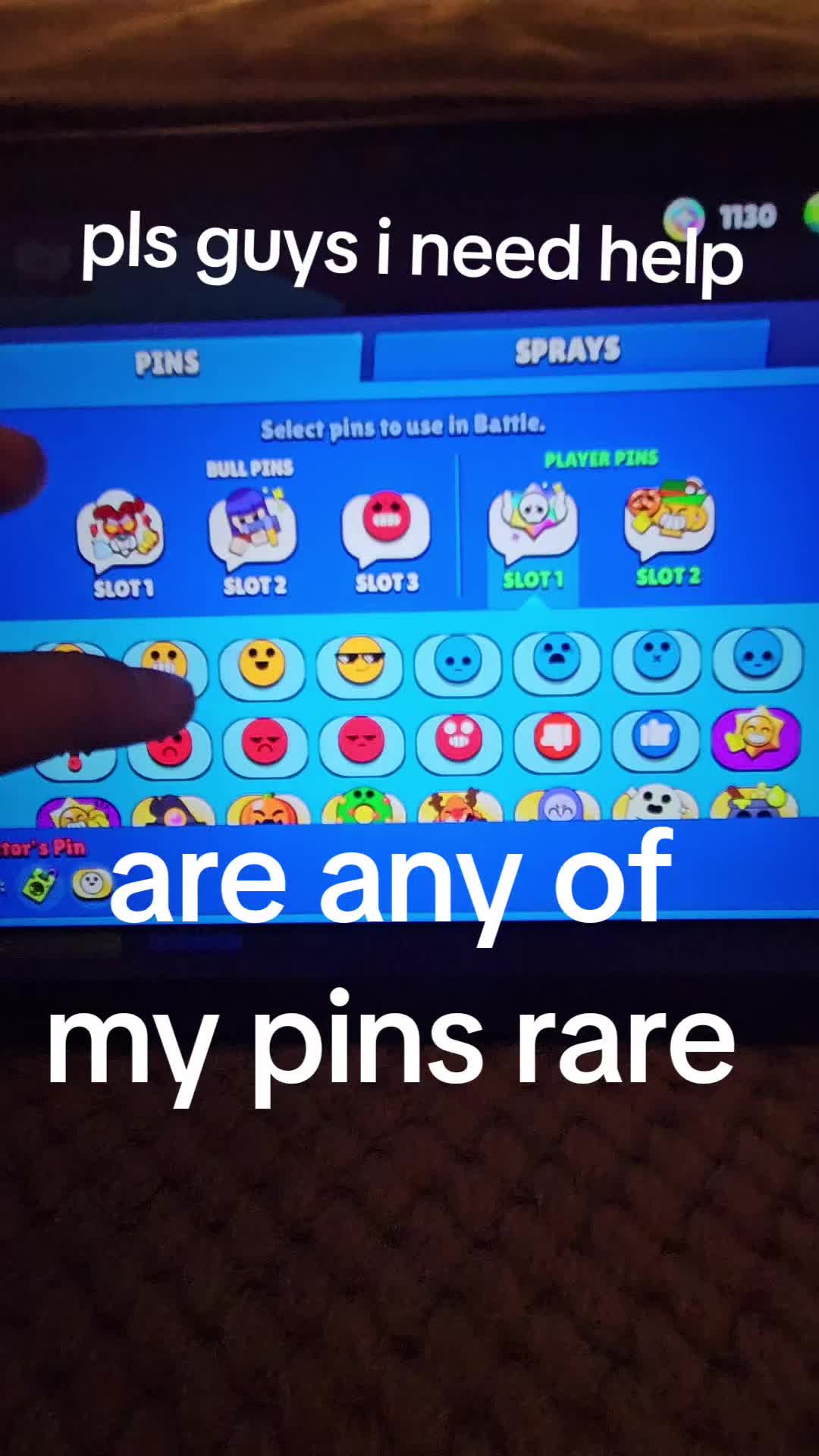 @Vinny_the_CAT