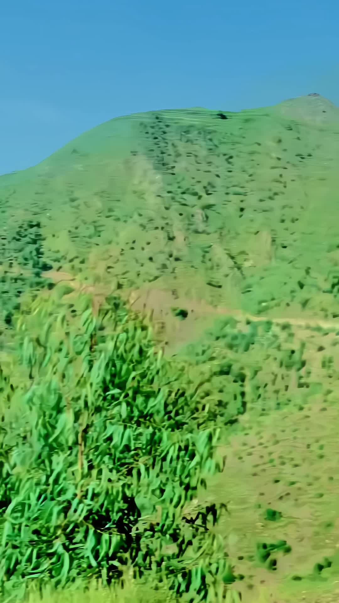@🇵🇰 Mkhilji🥀ᴿ᭄
