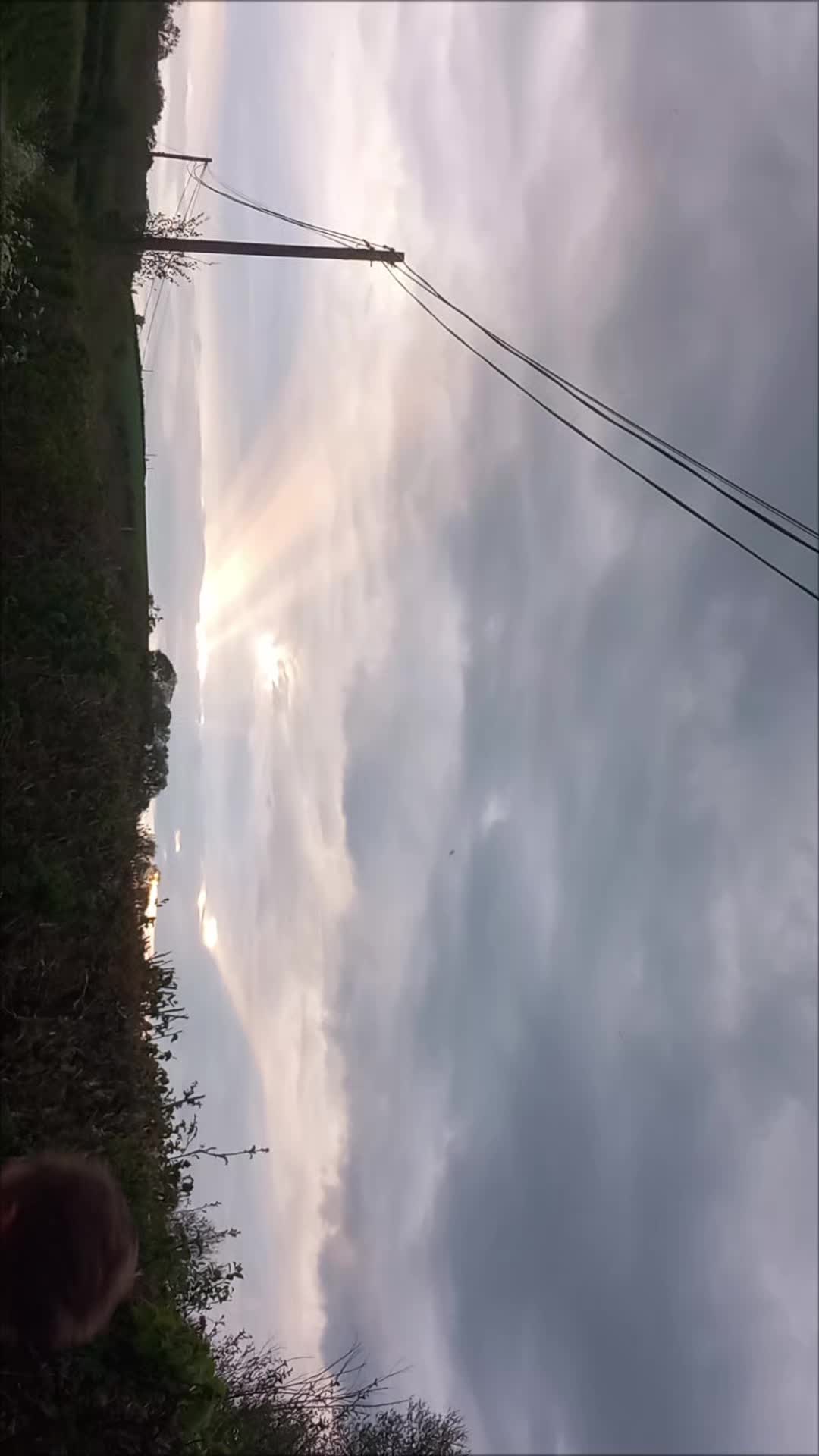 @cole