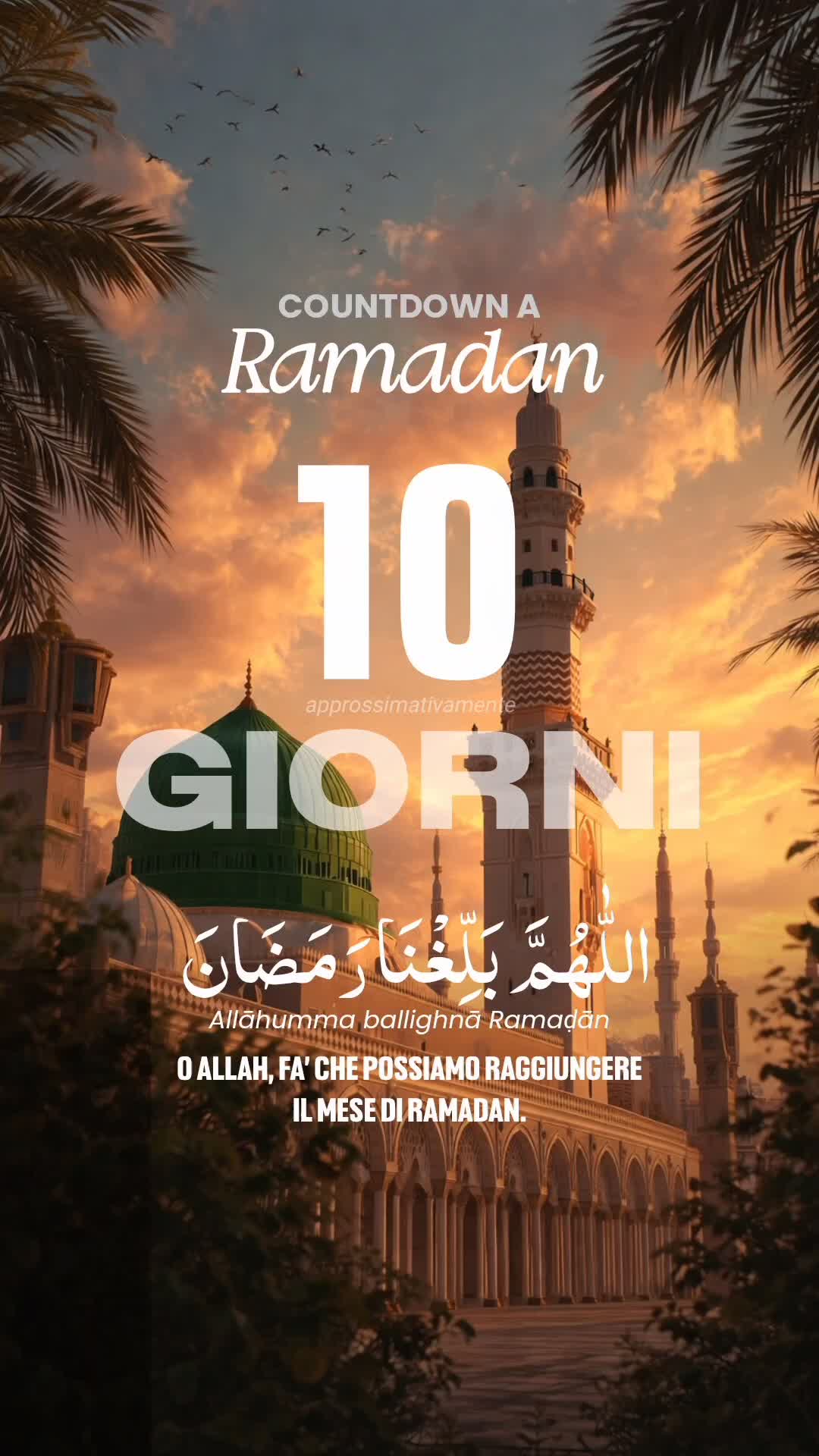 @Un Musulmano Italiano