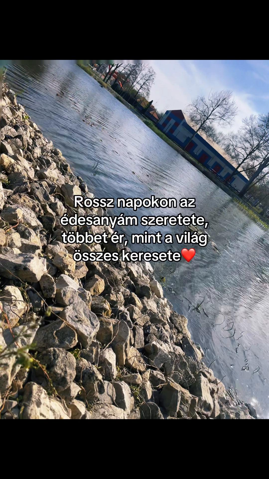 @Kitti