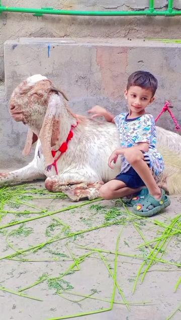 @Arslan khan