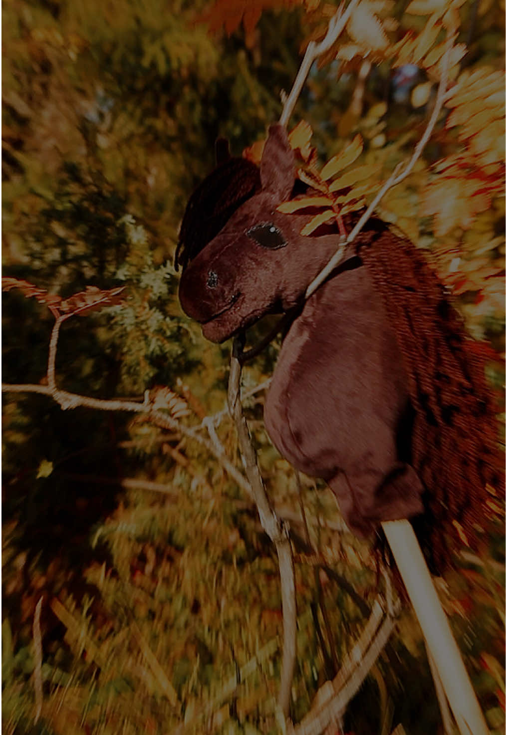 @~𝒦&auml;𝓅𝓅𝒽&auml;𝓈𝓉𝒶𝓇 ~
