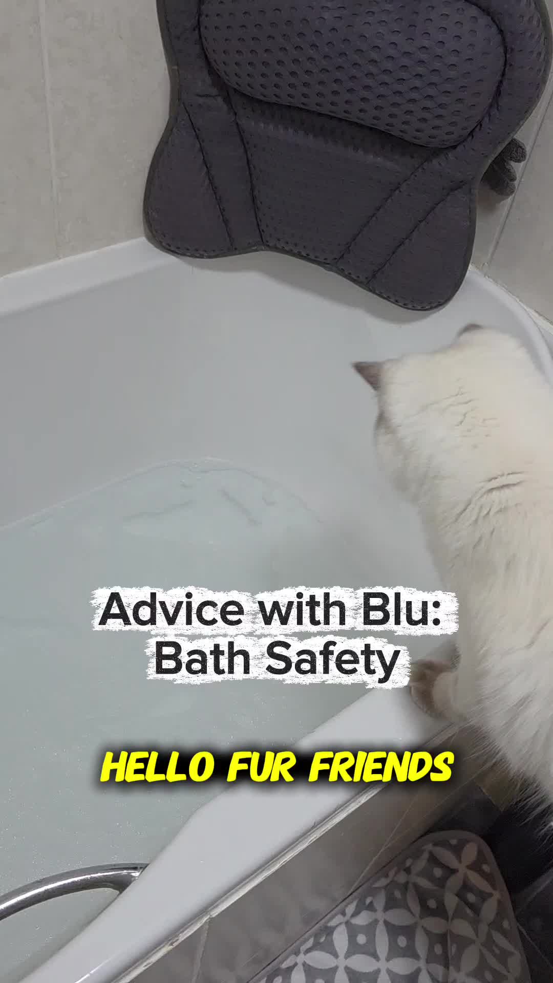 @DailyDoseOfBlu💙