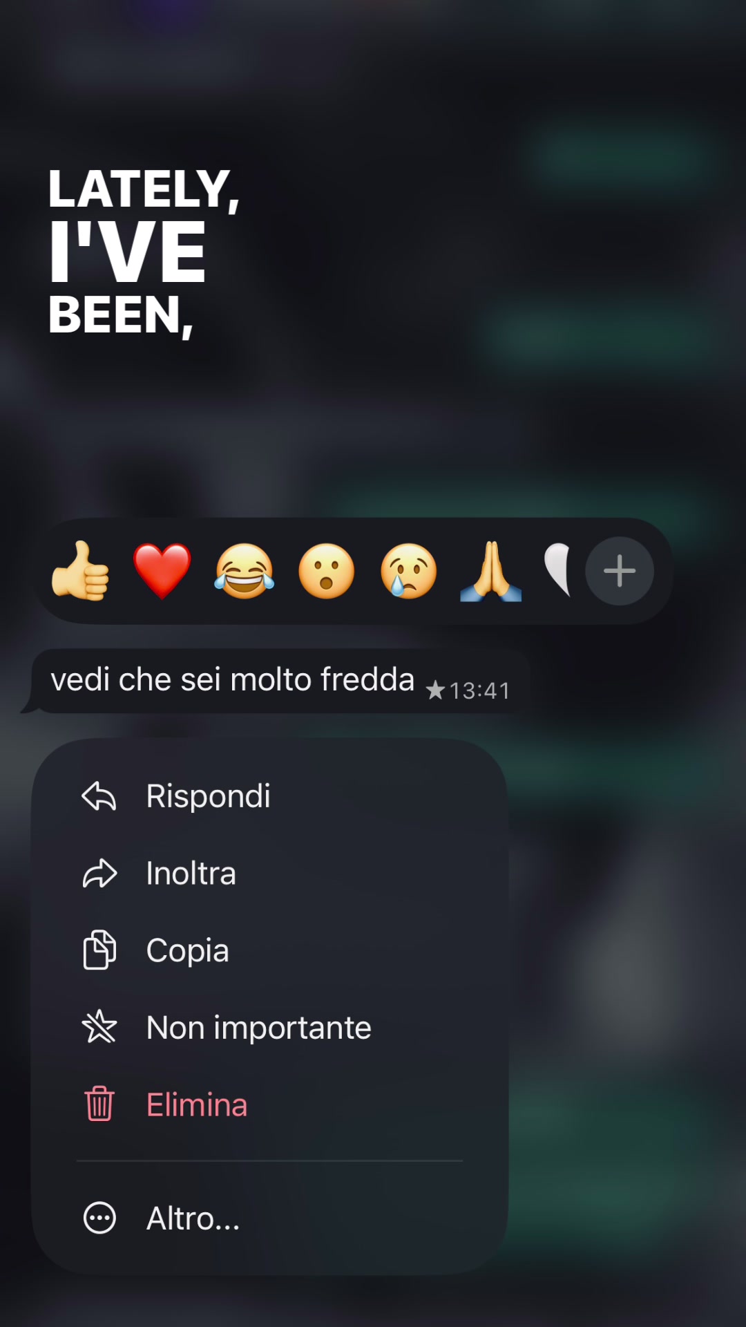 @account.sfogo