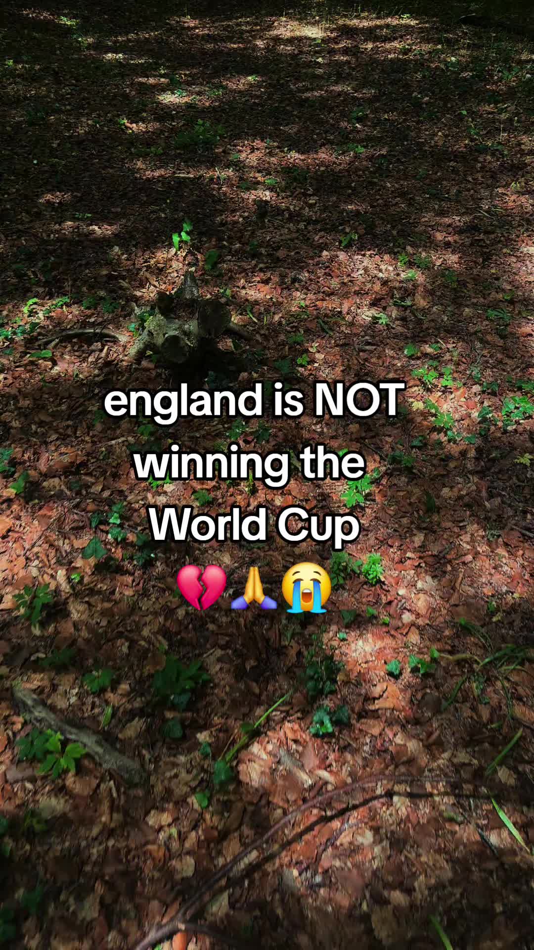 @devoiid