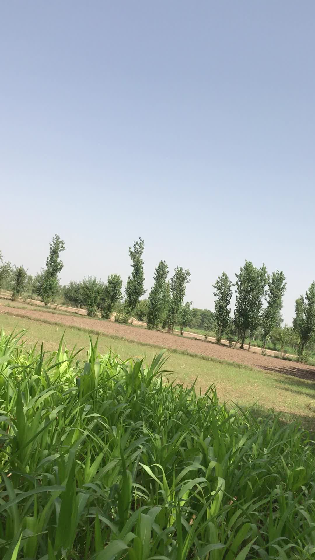 @Ali❤️