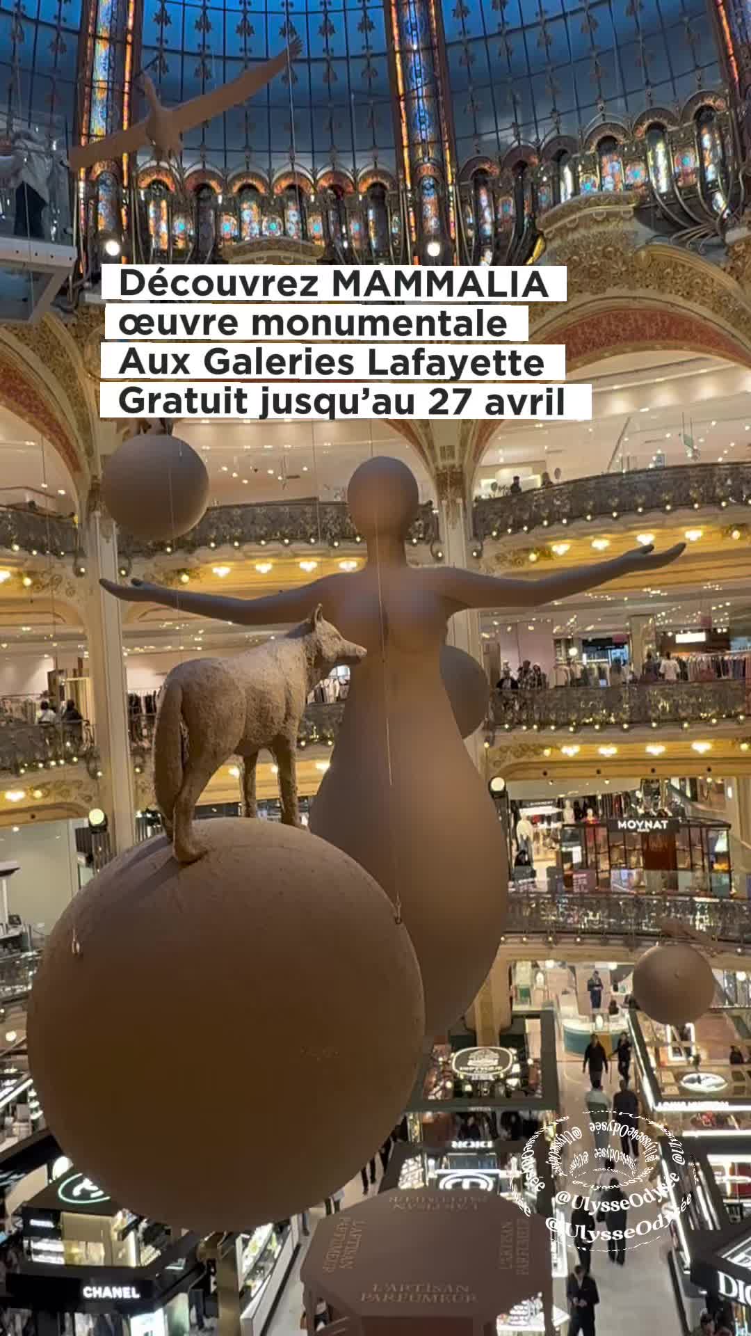 @Ulysse Odysée