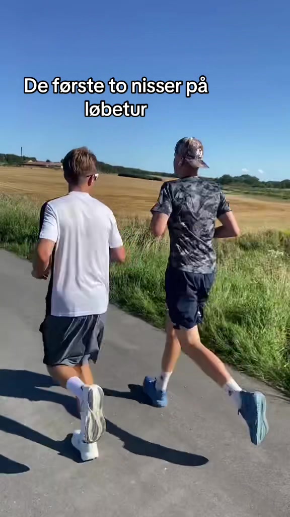 @Næsgaards Nisser