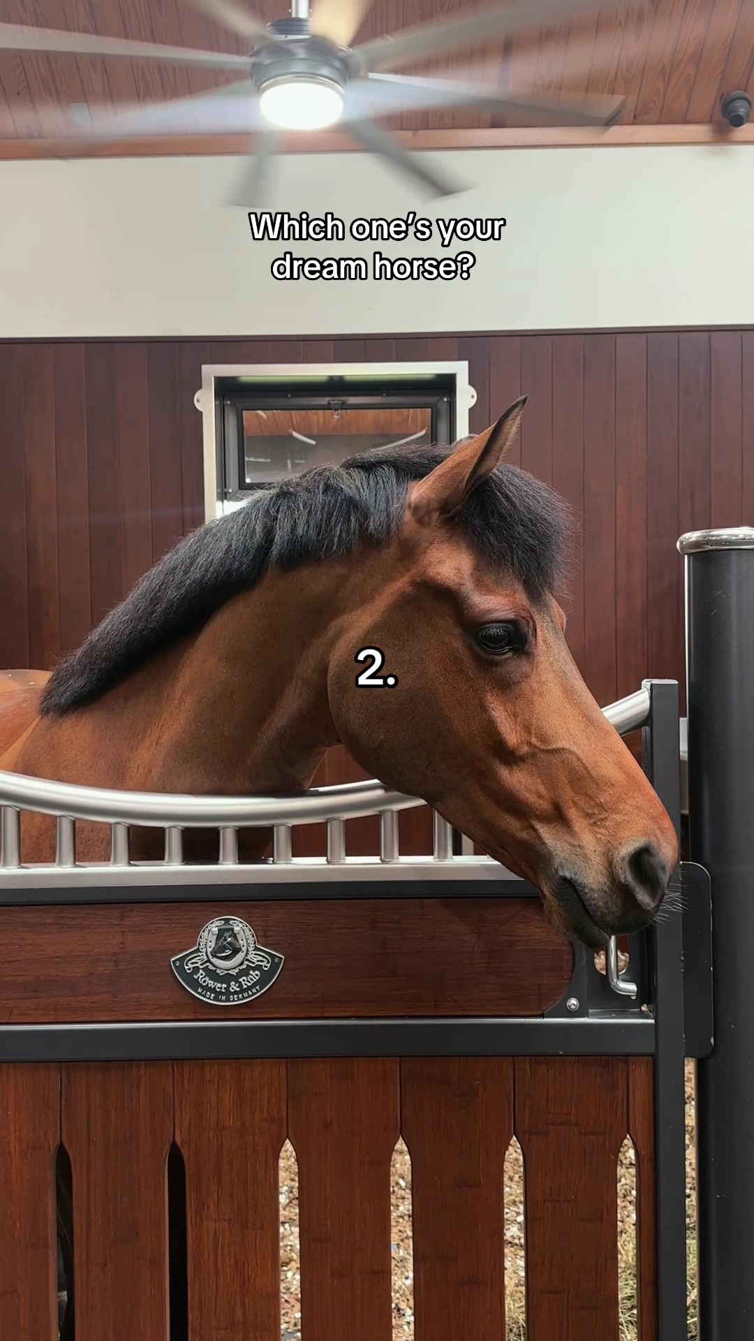 @Equestrian Stockholm