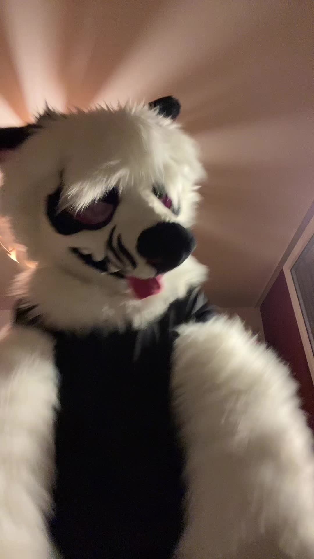 @𝑪𝑨𝑹𝑶𝑿