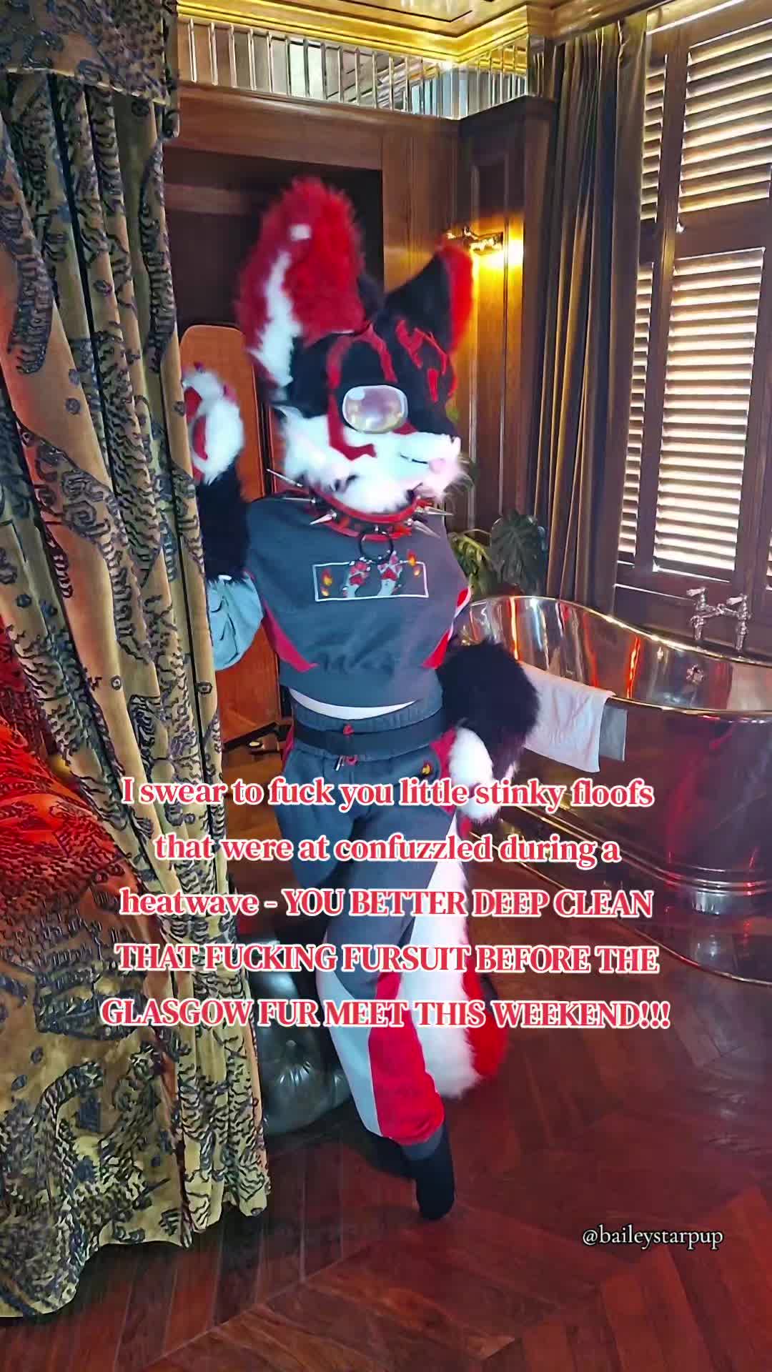 @Bailey (lilpixiekitten)