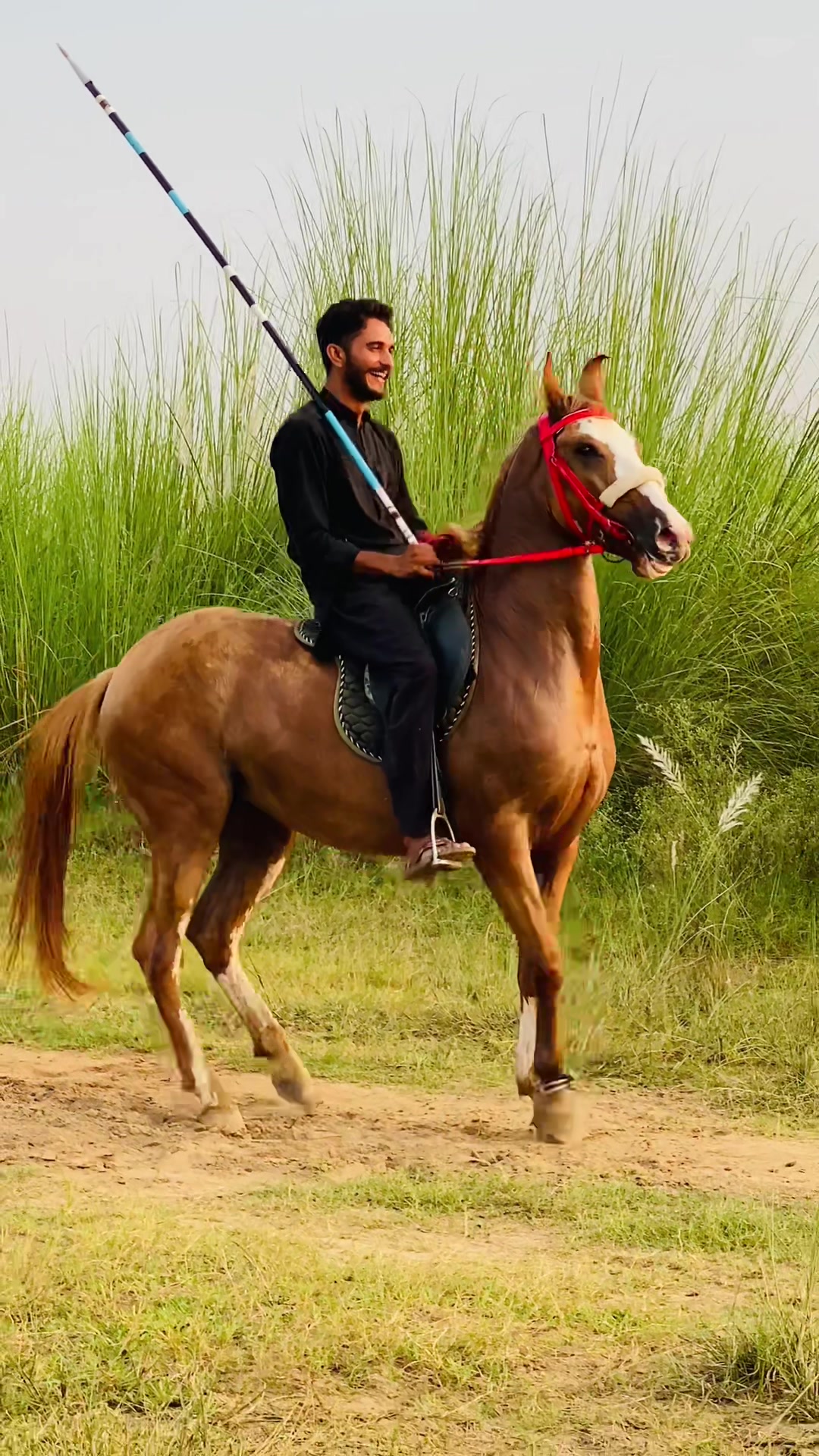 @Ch Hammad bokan &hearts;️🐎
