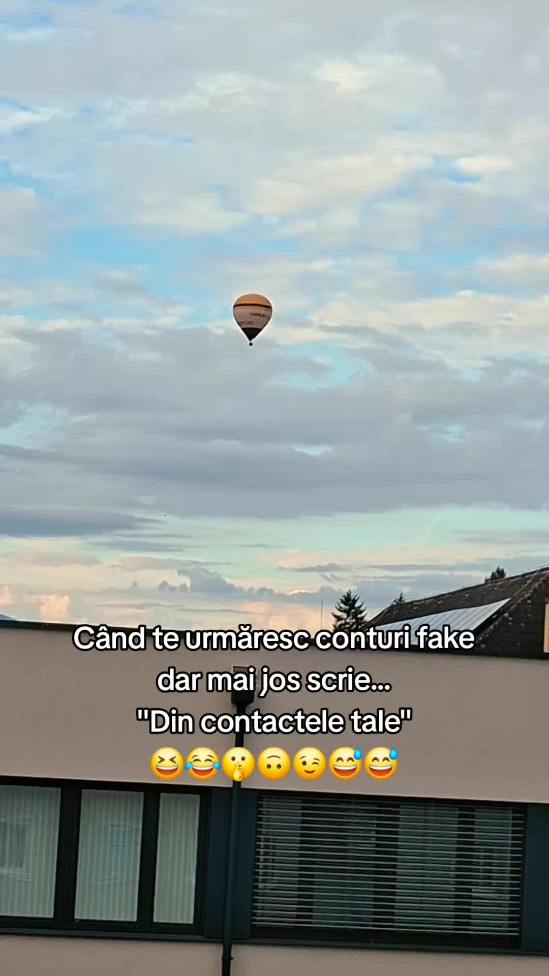 @Nicoleta Balan