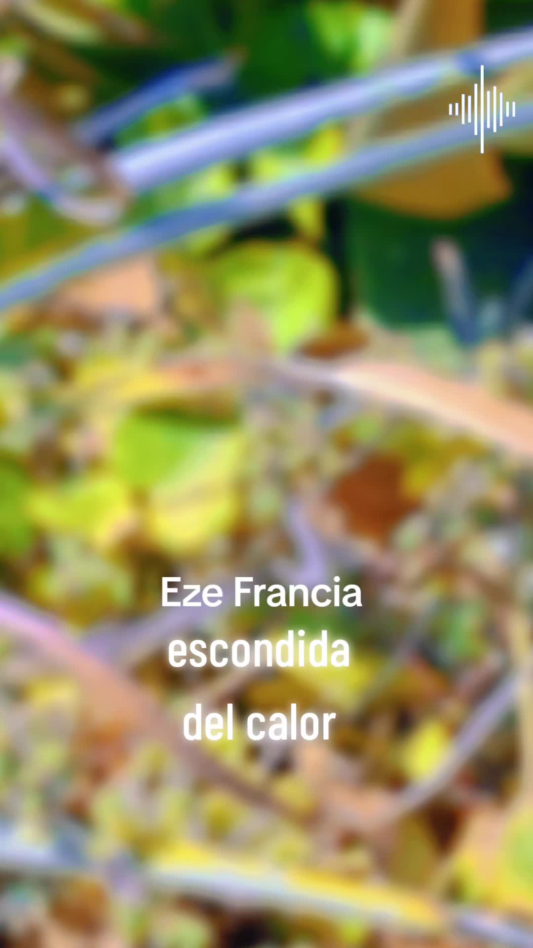 @Mauricio Andres Bravo Gonzalez