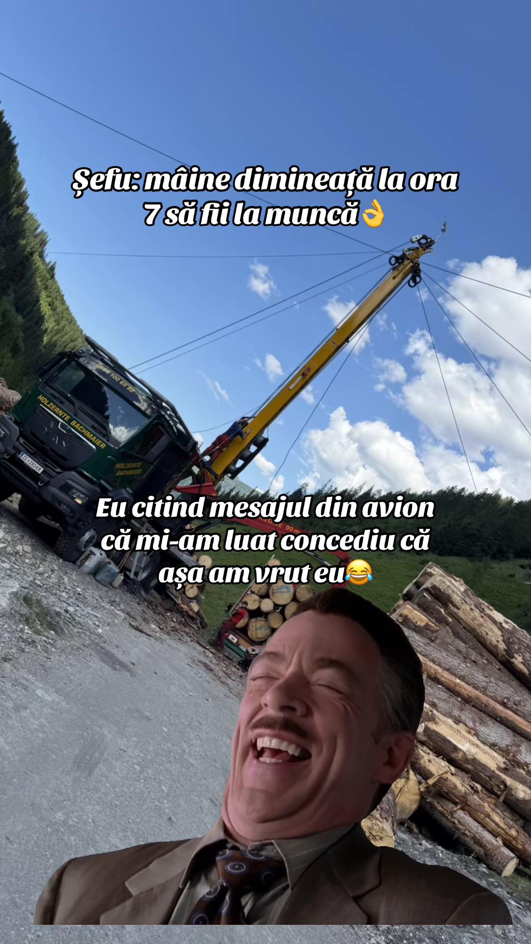 @Nicu Văsieș