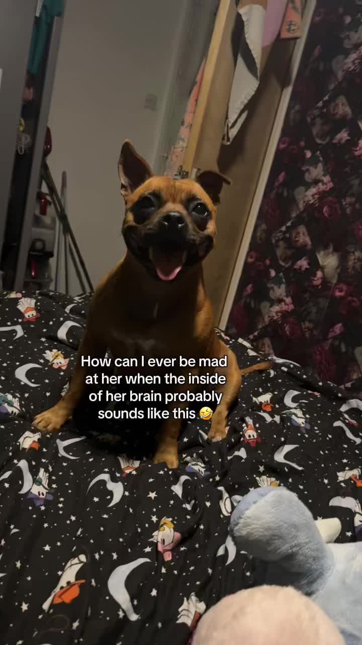 @Disneyboops ✨🫶🏻
