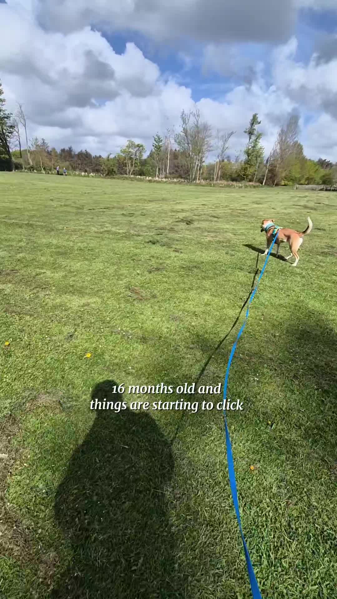 @wildlife_rescue_adventure