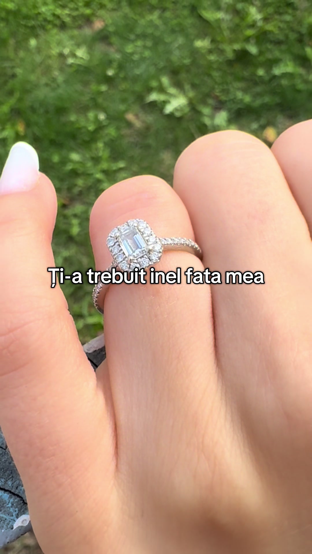 @Grigor Casian