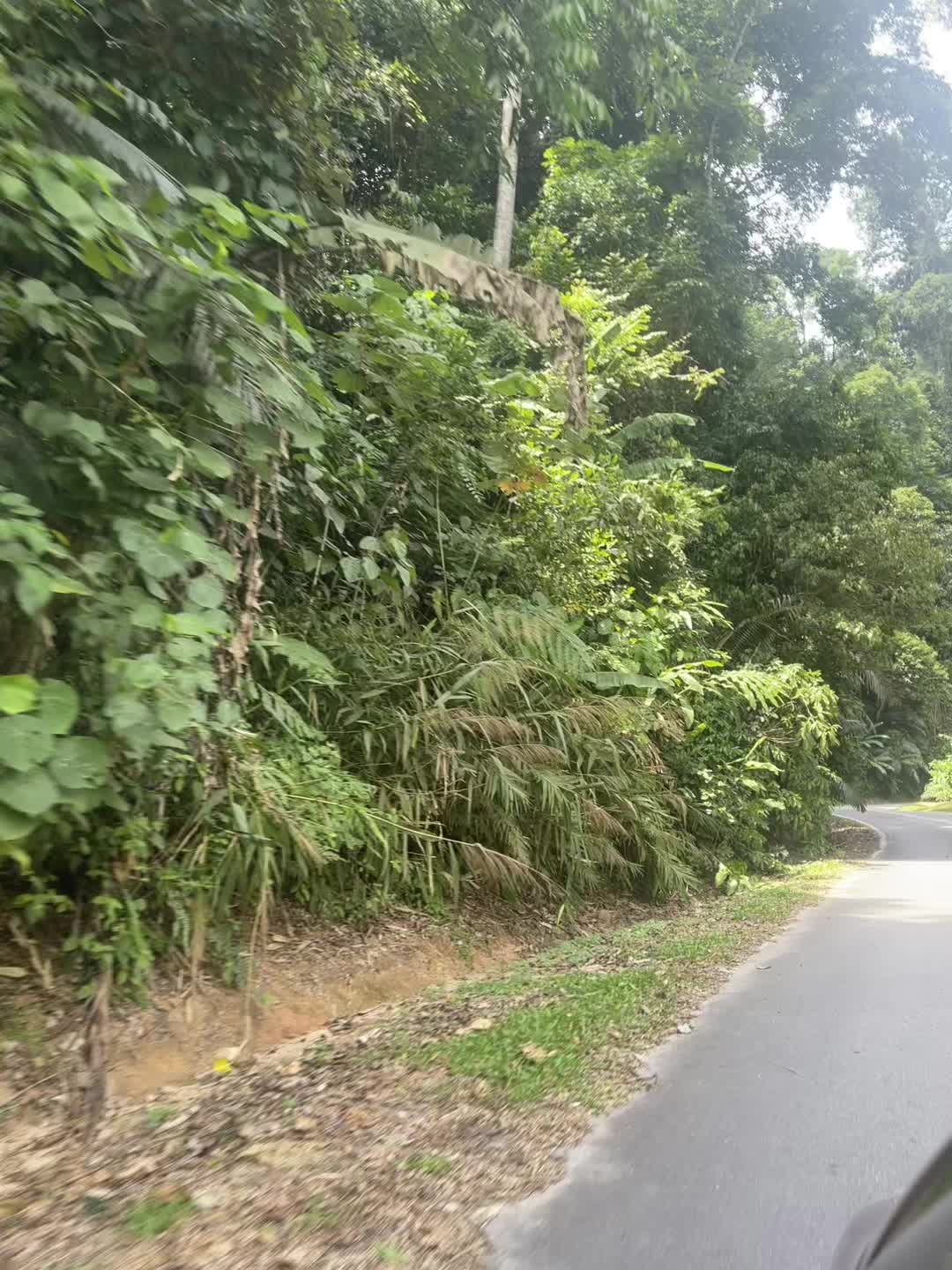 @Aishah Kamarul
