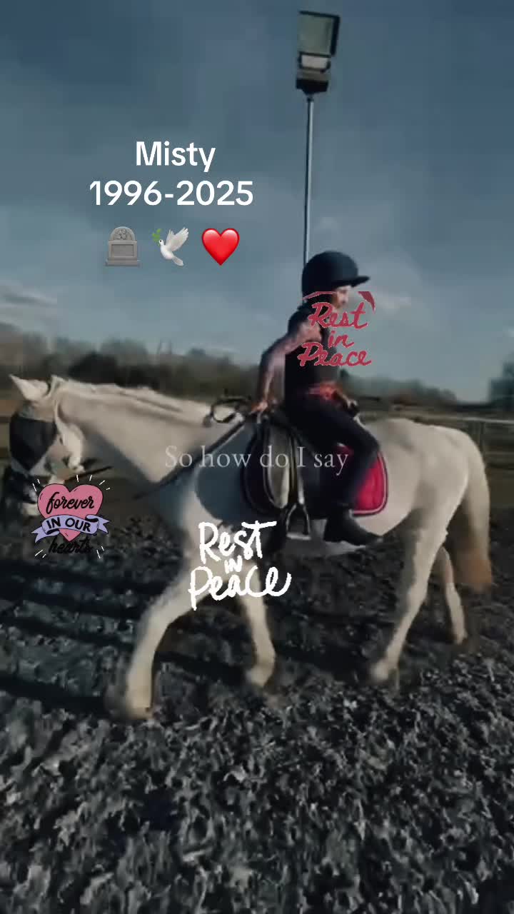 @Daisy and the pony’s