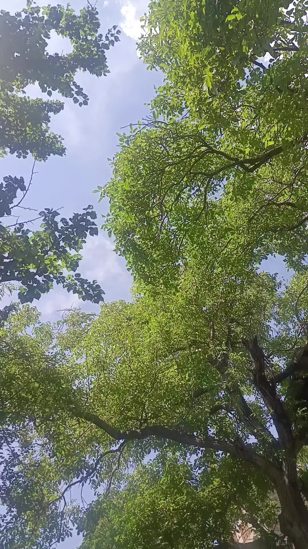 @AKhondi