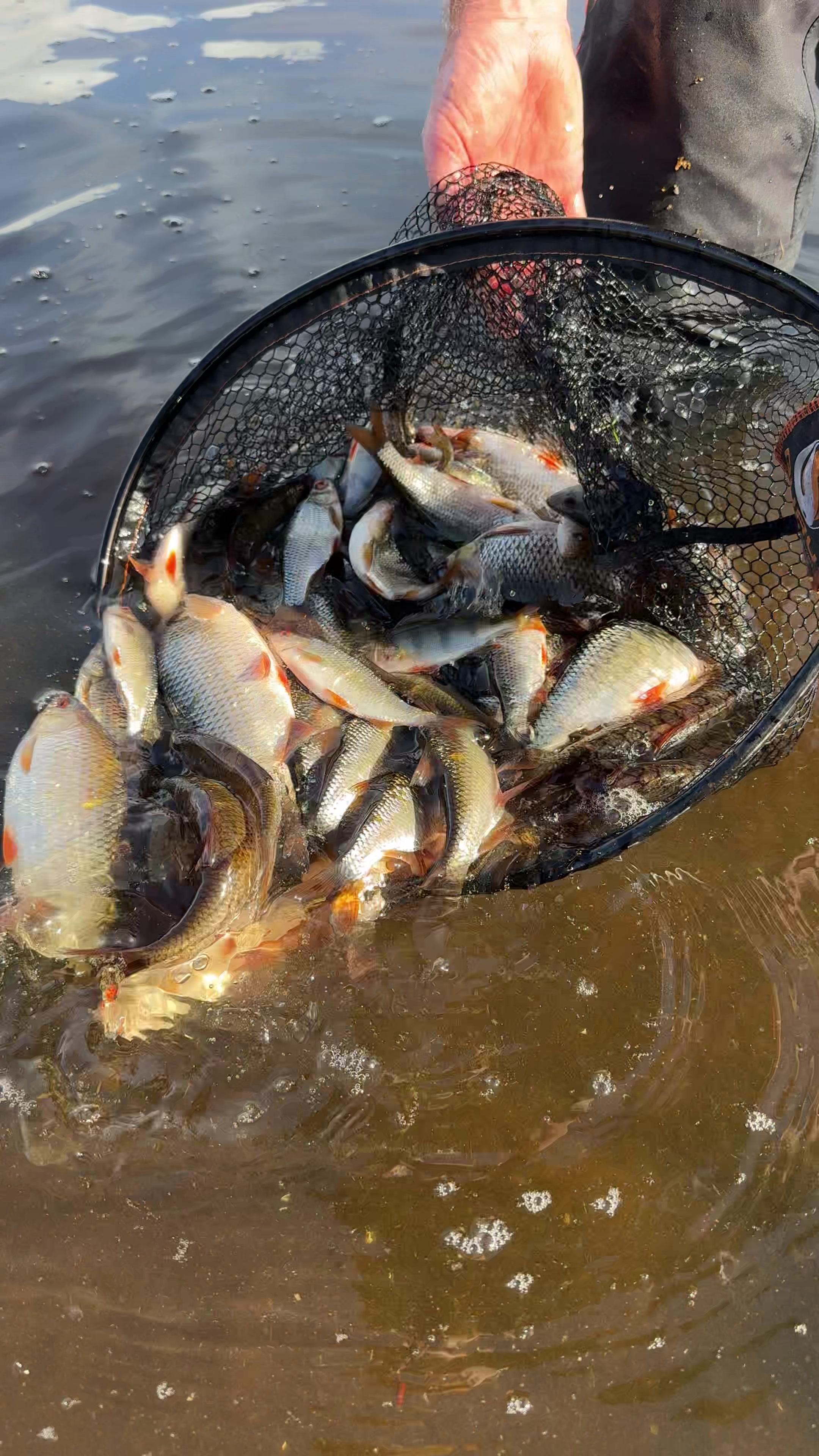 @Tackle Guru