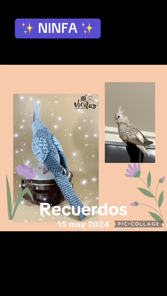 @Vicnay Artesanía ✨💜