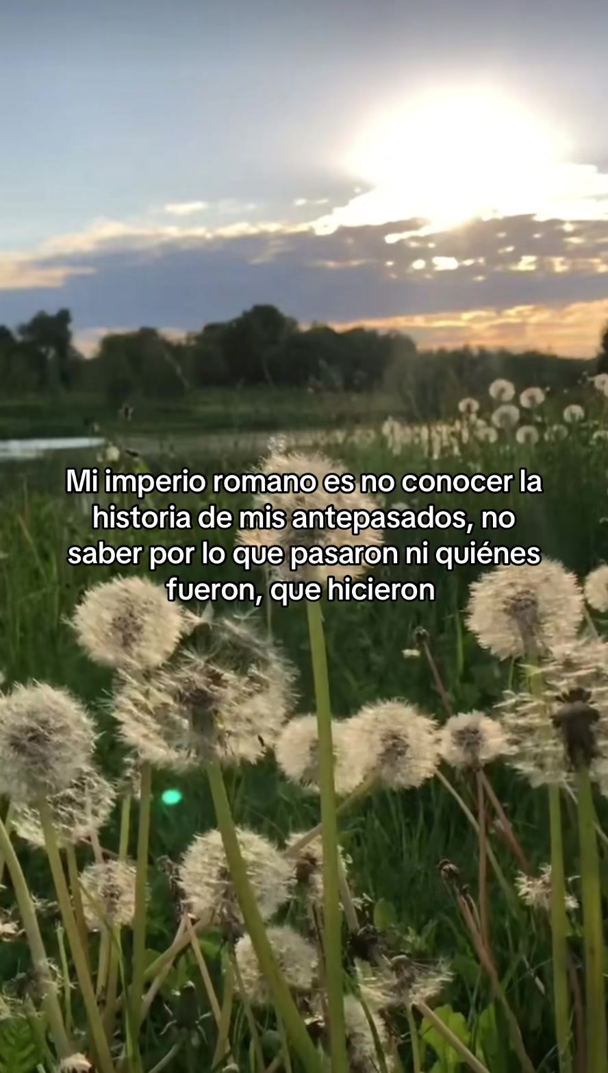 @Gisela Almenar