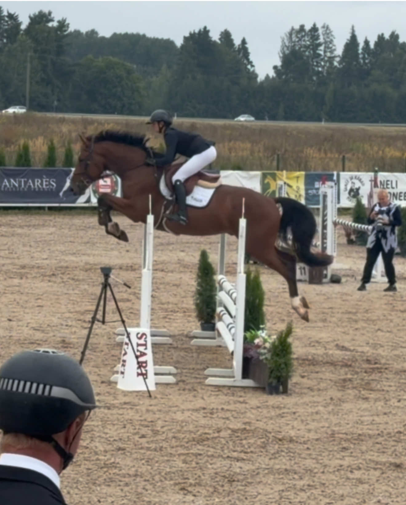 @johannatafenau