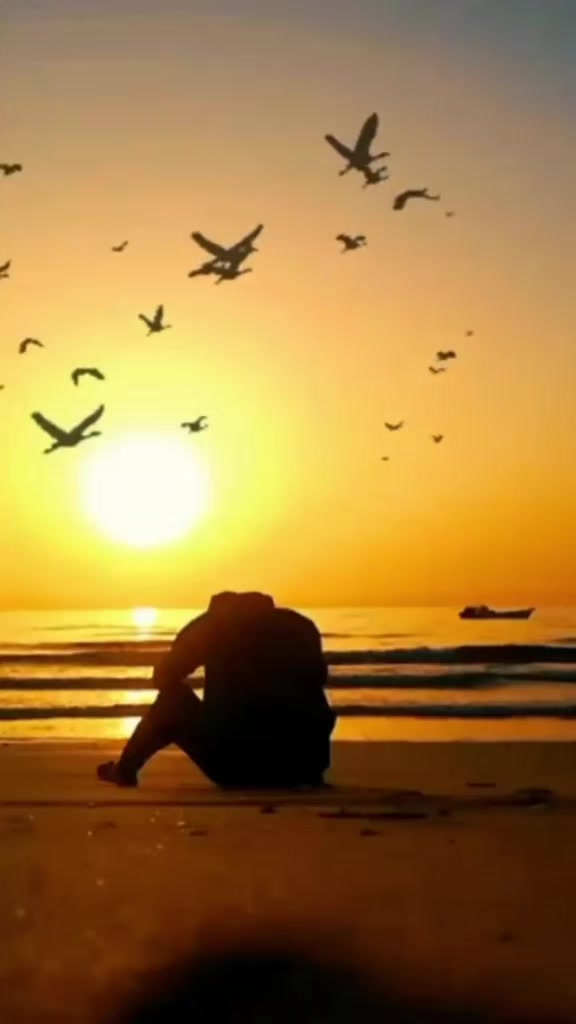 @umarrajput1391