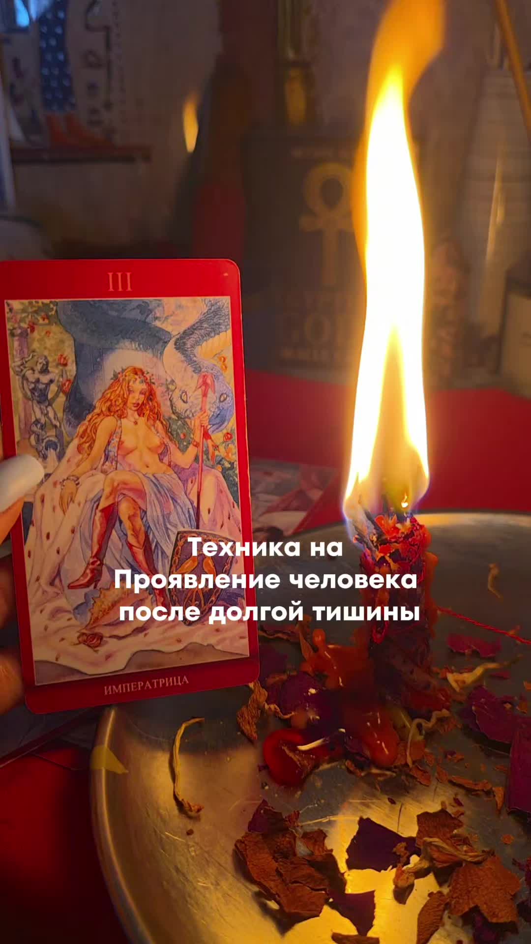 @aliceeback ~ магия жизни