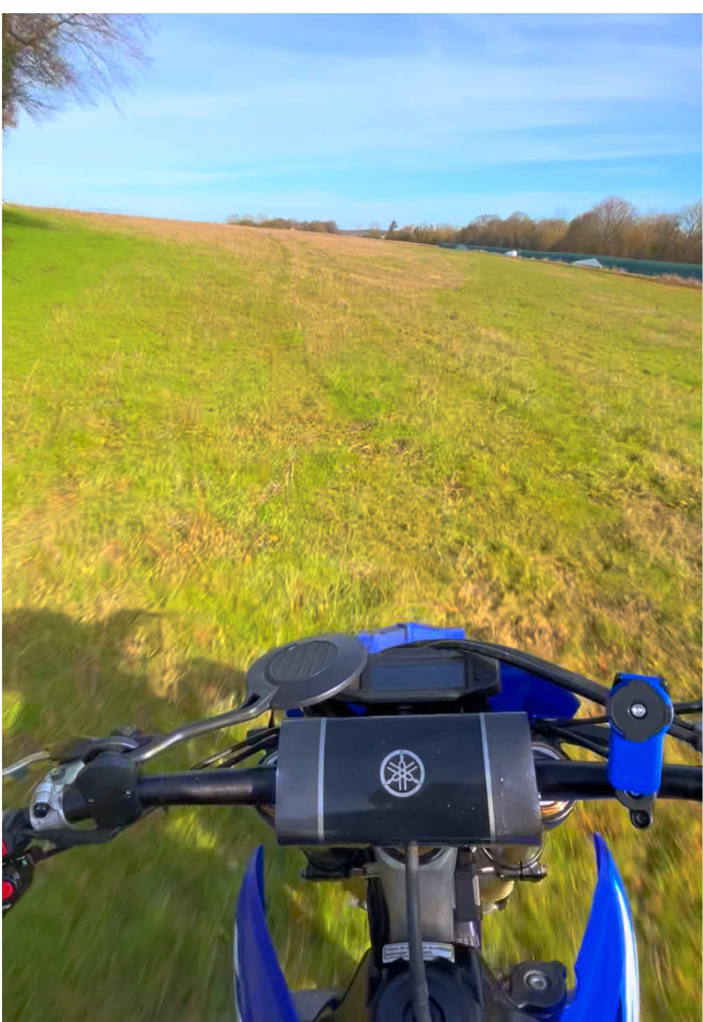 @Naoz.pov