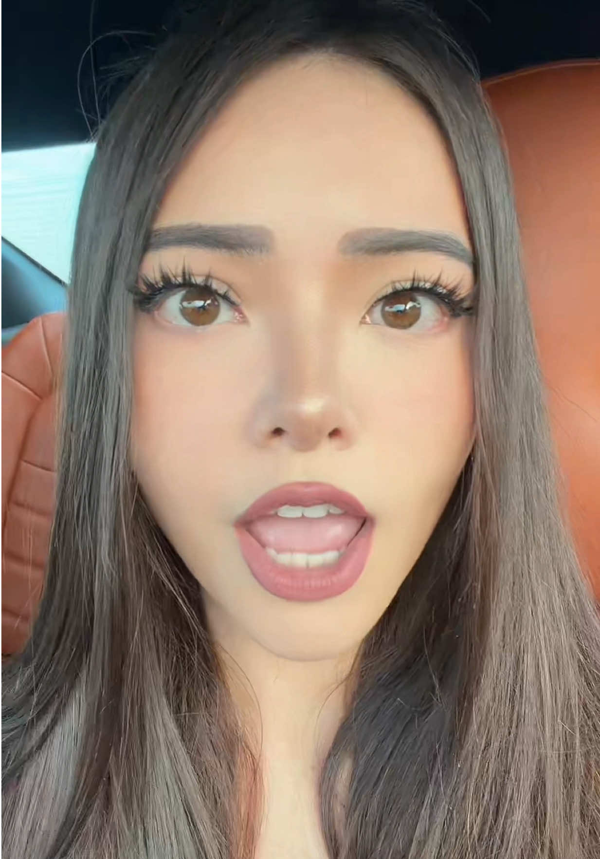 @Katchii 🐱