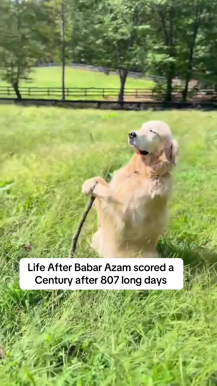 @nolimitcricket