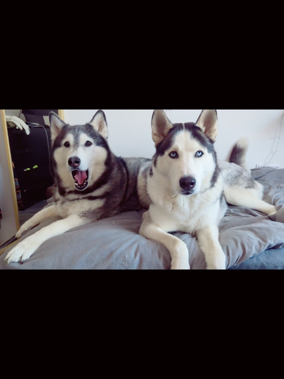 @Freya & Kuma
