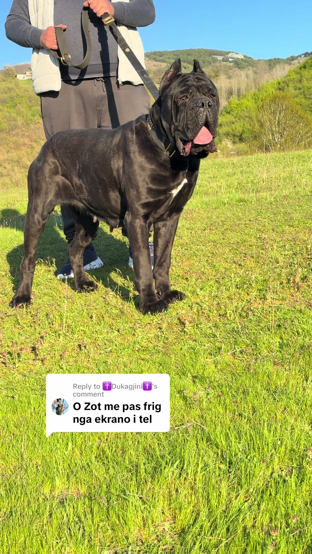 @guardiani_di_lako