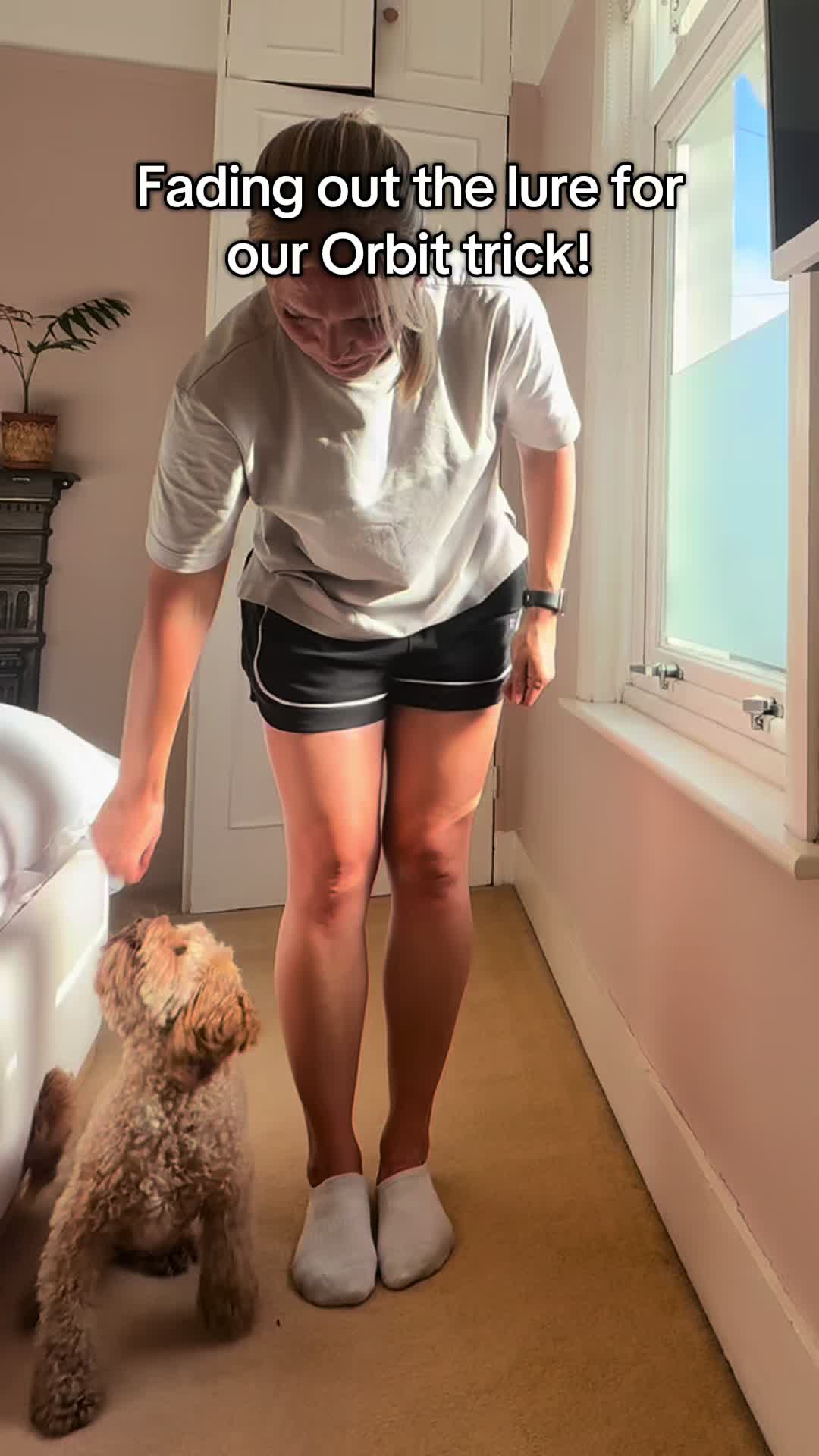 @MilneandMutt